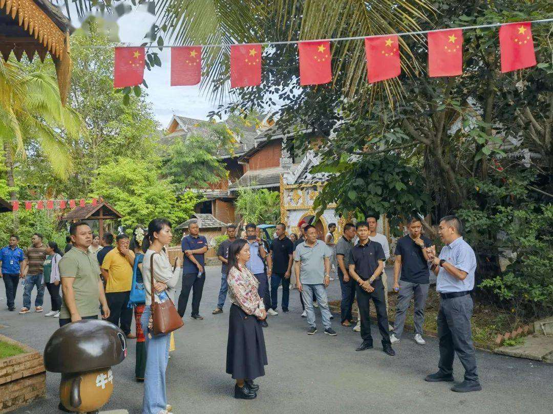 景洪市最新动态，热带风情城市的蓬勃发展