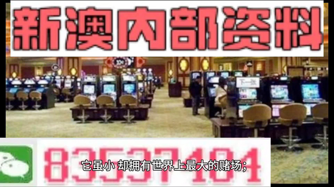 2024澳门精准正版免费大全,让我们聚焦于最新推出的智能眼镜——“视界无限”