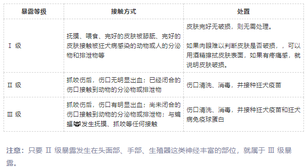 2024澳门特马今晚开奖直播,被打过疫苗的猫咪咬伤_手动版v5.7.235