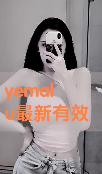 Yemalu最新备用方案，探索与实践之旅