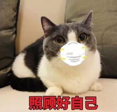 今晚开一码一肖,猫咪应激反应是什么,_人教版v6.2.169