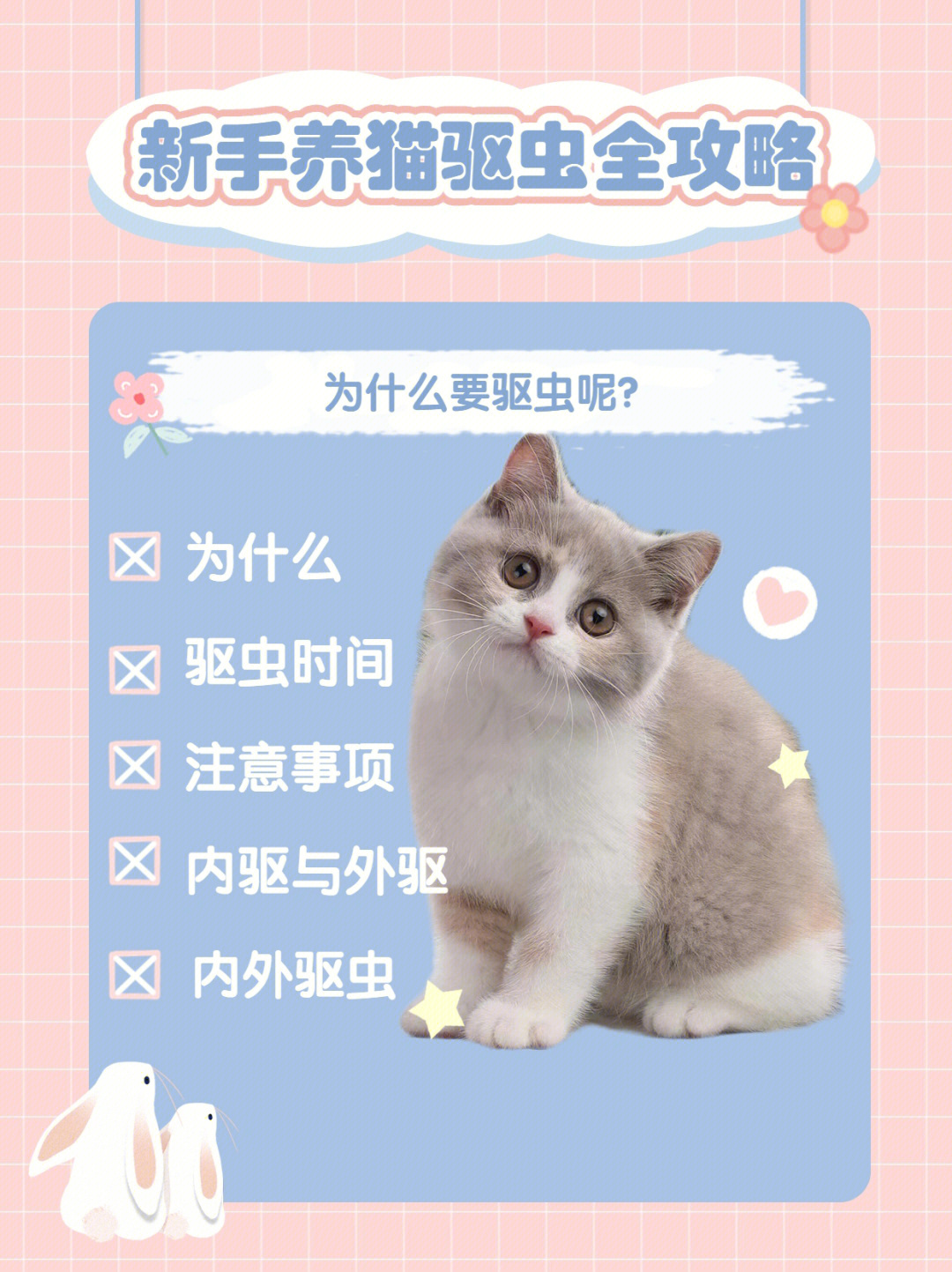 新澳好彩免费资料查询最新,猫咪驱虫中毒_新手版6.310