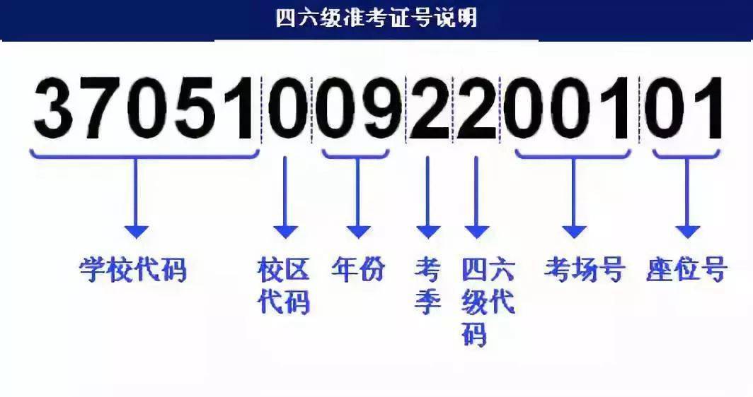 澳门王中王100%期期中,迅捷解答方案实施_专属款77.96