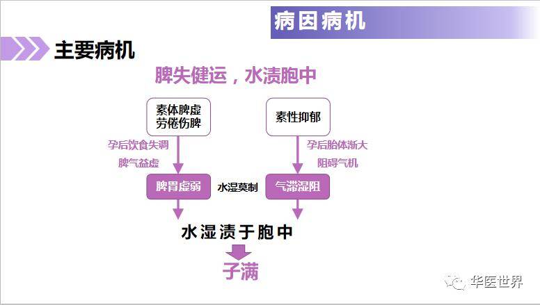 白小姐三肖三期必出一期开奖,理论分析解析说明_Gold22.848