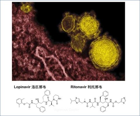 全球最新肺炎病菌挑战及应对策略