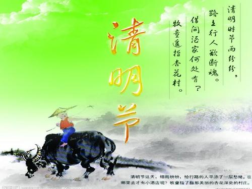 清明图片最新，传统与现代融合之美风采展示