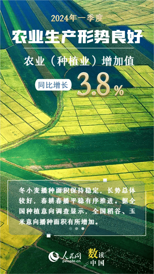 马报最新一期资料图2024版,数据导向方案设计_试用版48.324