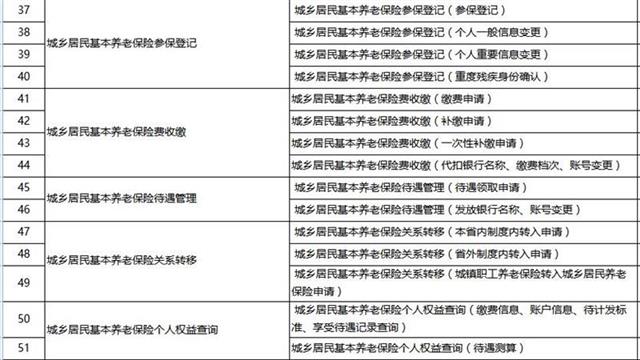 新奥门免费资料大全使用注意事项,全面实施分析数据_豪华款52.532