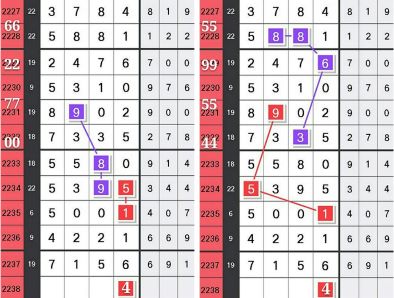 王中王72396.cσm.72326查询精选16码一,实证分析解释定义_SHD55.205