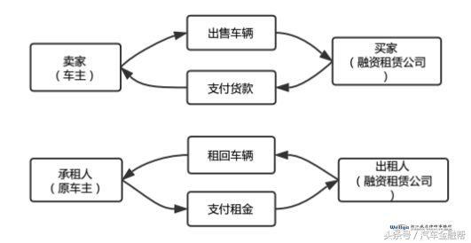 今晚特马开27号,实地研究解释定义_战略版27.298