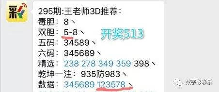 4949彩免费资料大全,专业执行解答_T53.832