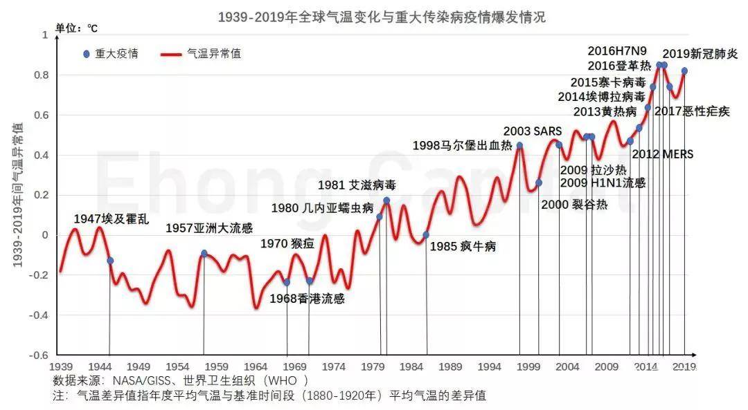 2024新澳历史开奖,高效性策略设计_NE版35.425