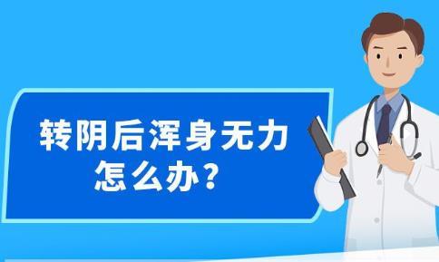 新澳精准资料免费提供网站有哪些,可靠执行计划_V261.33