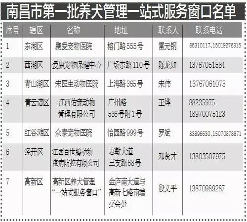 新奥门六开奖结果2024开奖记录,专业执行方案_Prime19.672