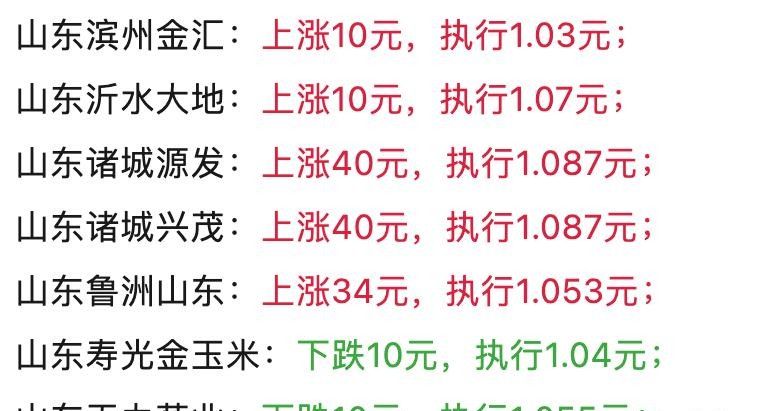 最新玉米价格动态及市场深远影响分析