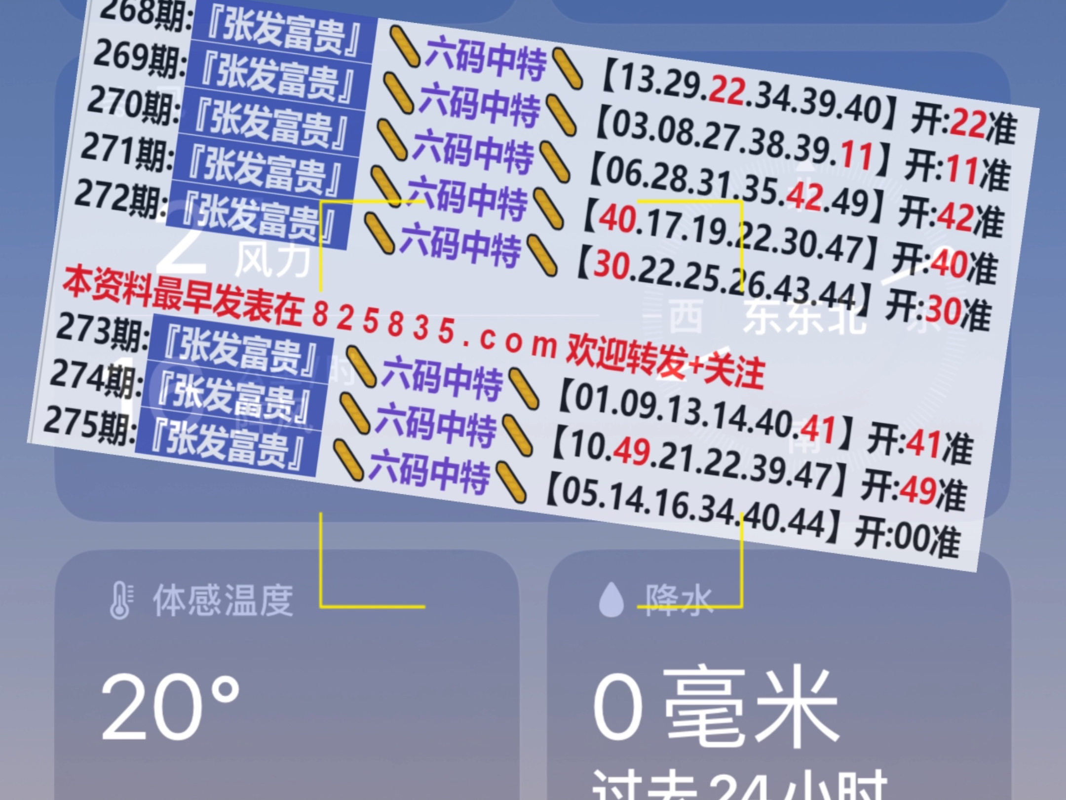 新奥门六开奖结果2024开奖记录,迅捷解答计划执行_入门版49.292