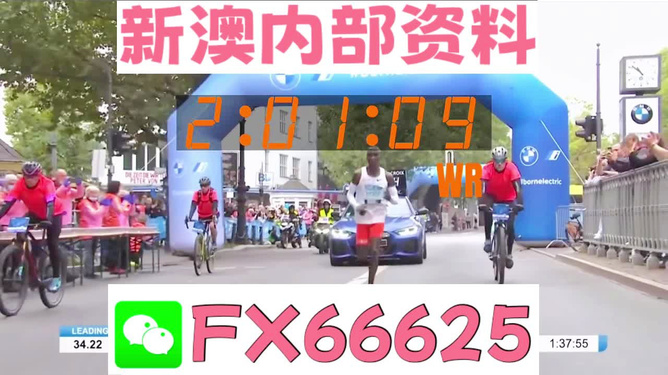 2024新澳免费资料大全精准版,专业解析说明_旗舰款26.353