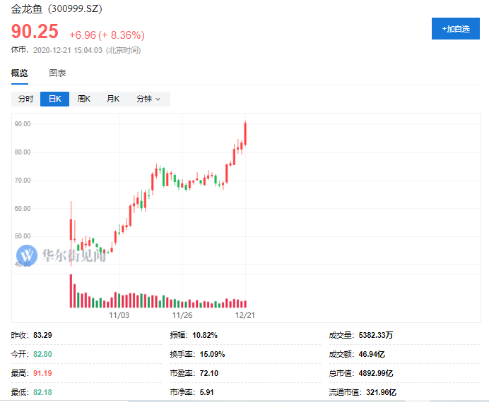 2024澳门今天特马开什么,专业执行解答_Z61.991