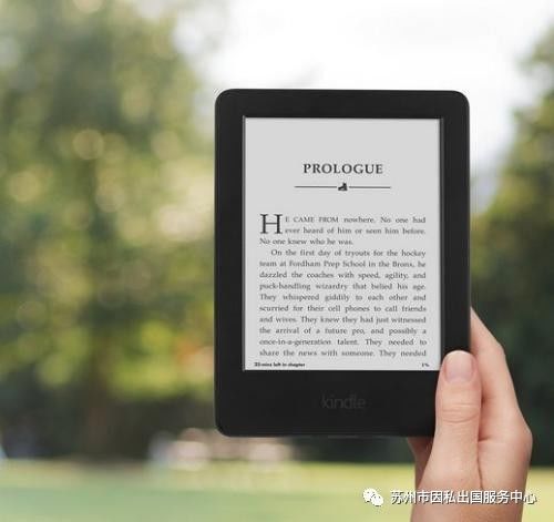 新澳天天开奖资料大全1038期,实地方案验证策略_Kindle25.999