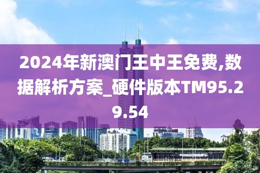 2024年新澳门王中王免费,精细分析解释定义_Console80.155