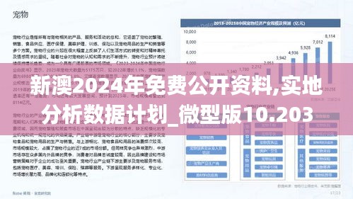 2024新澳今晚资料免费,实地执行数据分析_Tablet46.100.49