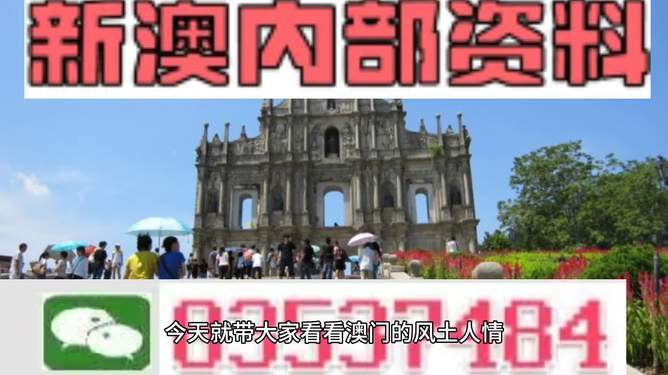 2024新澳今晚资料,实地解析说明_专属款87.328