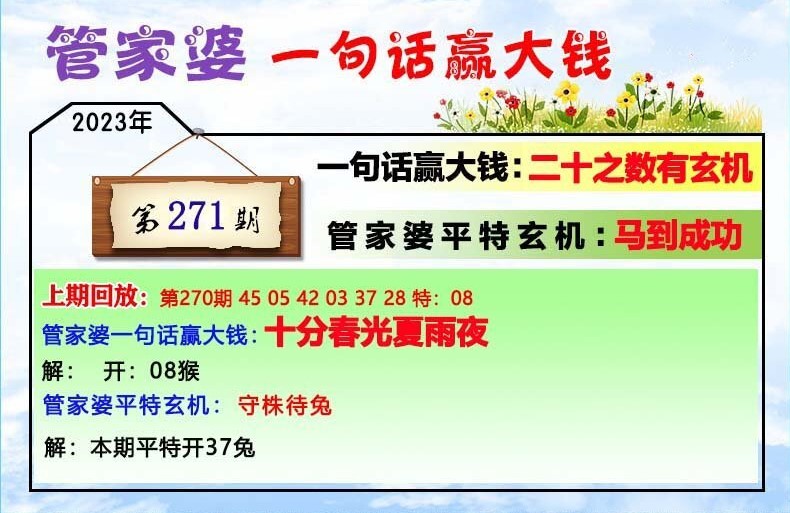 管家婆一肖一码最准资料,经典解释落实_定制版8.213