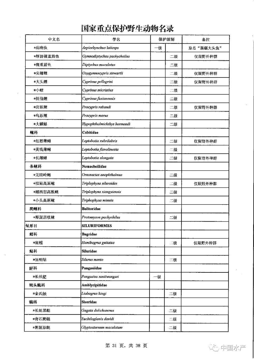 保定园 第76页