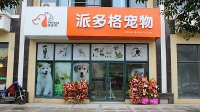 大连宠物店加盟，开启宠物事业新篇章之旅