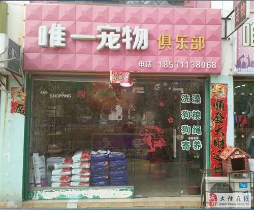 深度解析，优质宠物店的特色服务与选择指南