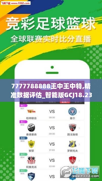 77777788888王中王中特亮点,全面数据应用执行_标配版48.389