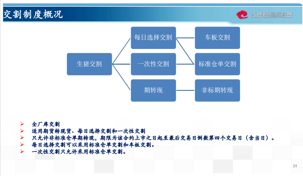 新澳2024年正版资料免费大全,数据解析说明_Tizen66.988