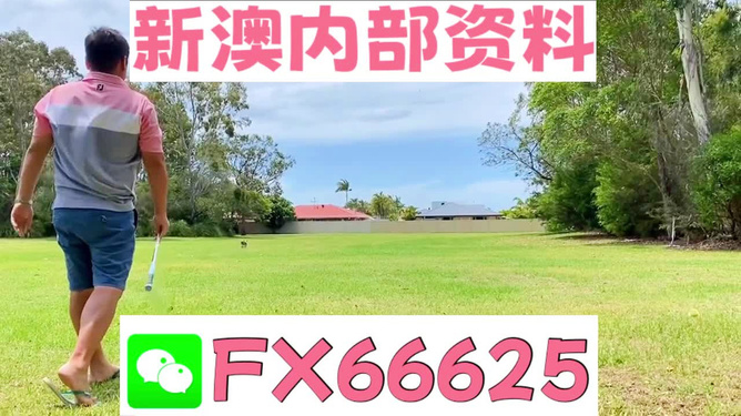 新澳门一码精准必中大公开网站,高速响应方案解析_HDR51.37