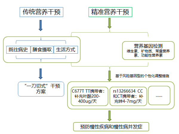 澳门最准最精准龙门客栈资料下载,实证数据解释定义_苹果版39.81