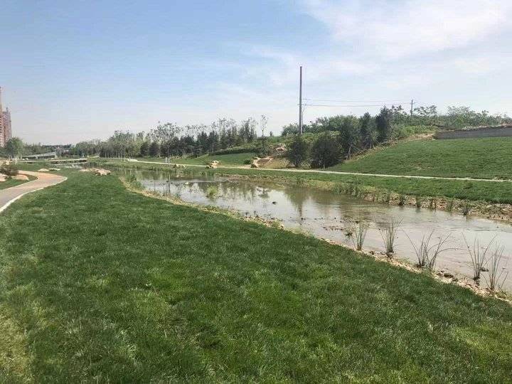 家乡小河，流淌的记忆与情感之旅