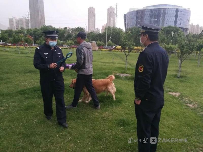 兰州狗狗训练，塑造人与犬和谐关系的艺术之道