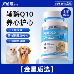 活力四溢的宠物伙伴狗狗Q10，健康守护之星