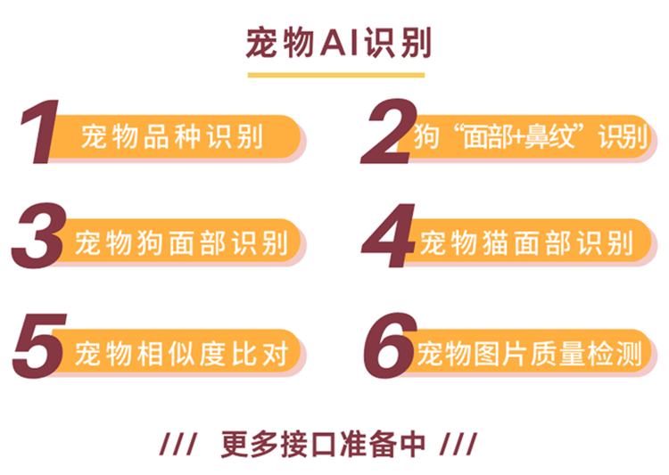 2024新奥精准正版资料,标准化流程评估_旗舰版58.324