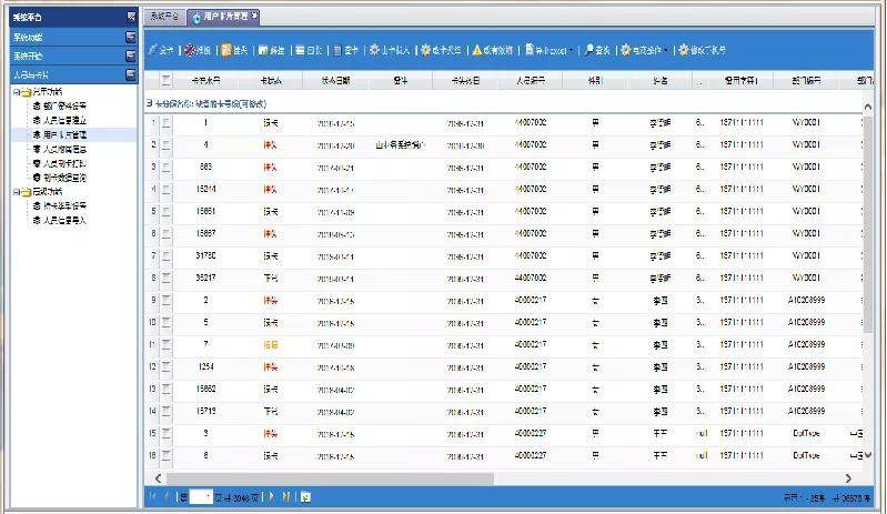 2024新澳精准免费资料,实地策略计划验证_定制版38.666