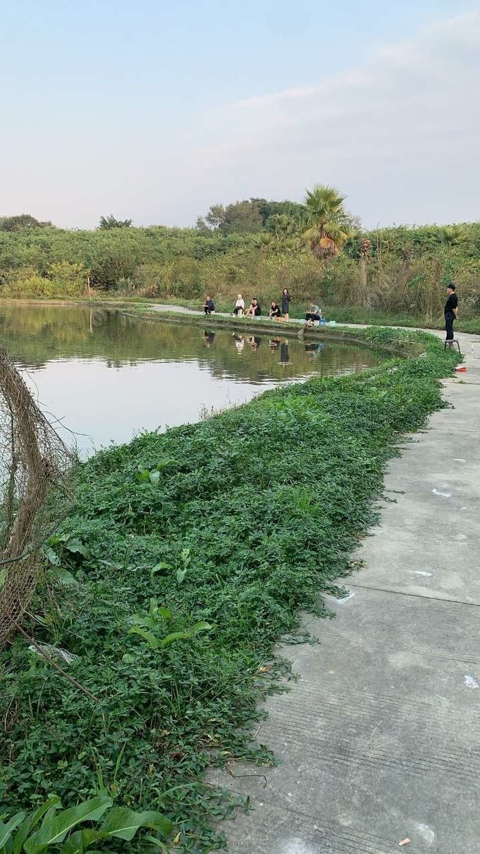 海口路亚菜地的探索之旅