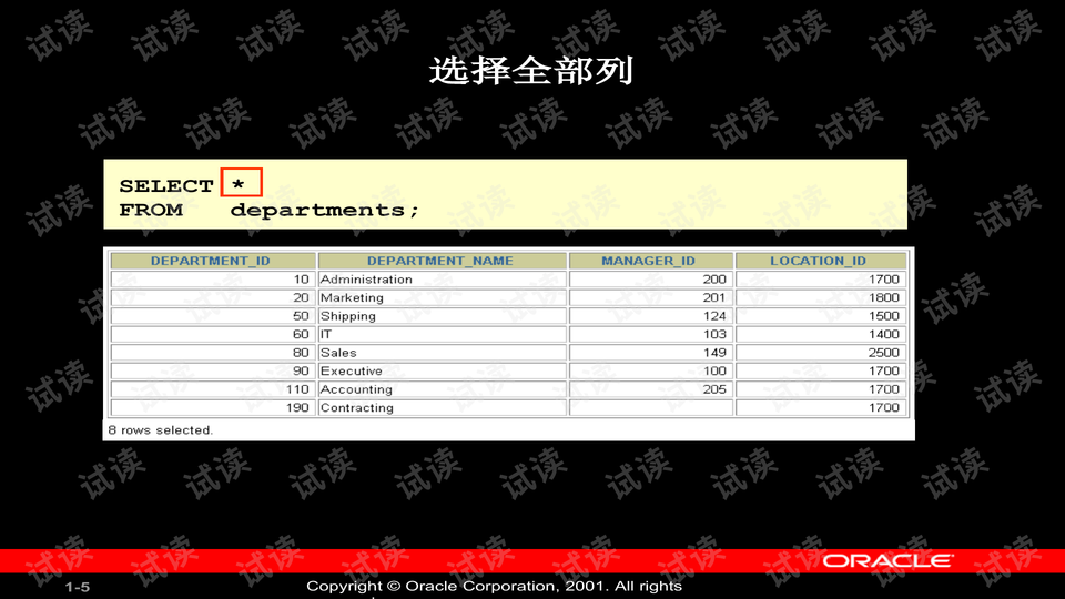 新澳2024资料免费大全版,数据驱动实施方案_钱包版57.253