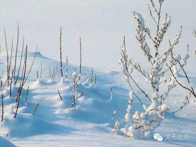 冬日雪景，雪舞纷飞的世界