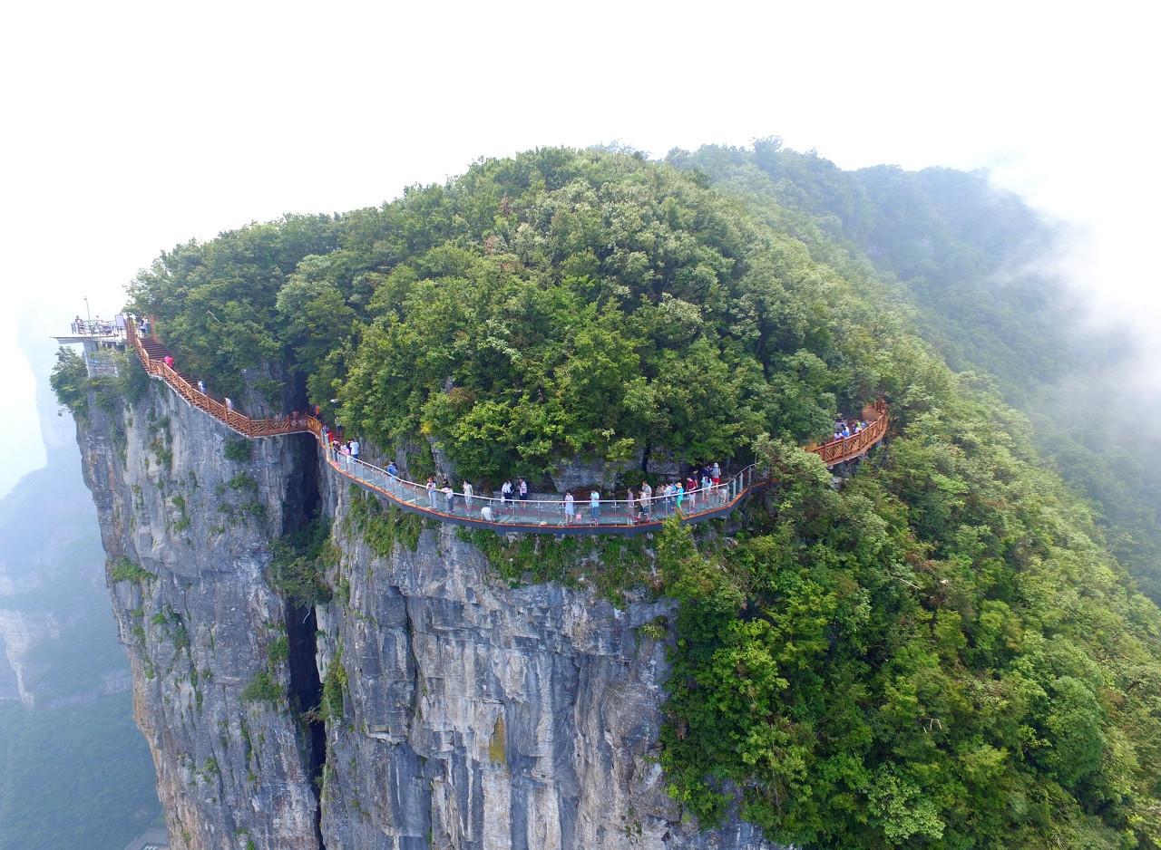 湖南省水利工程招投标现状与发展趋势展望