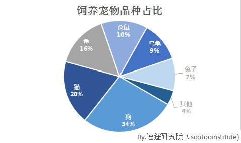 宠物网站深度解析，功能、用户体验与商业模式探讨