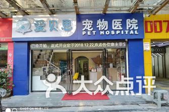 龙华宠物医院详细地址解析，服务、位置与重要性概述