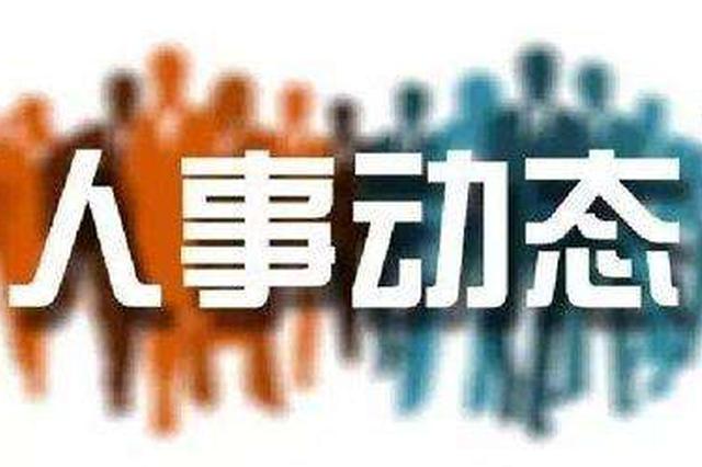 海淀区人事任免最新动态概览