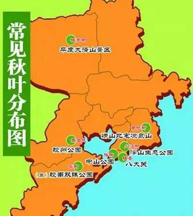 青岛魅力探索，最新地图揭示城市变迁与风采