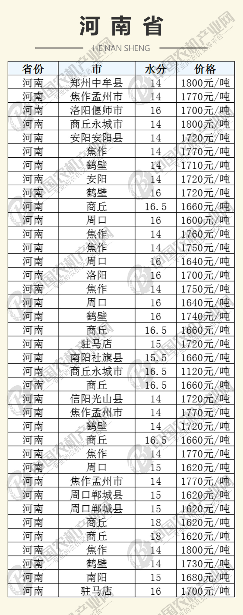 济源玉米价格最新动态及分析