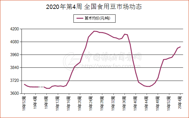 黑龙江大豆最新走势解析