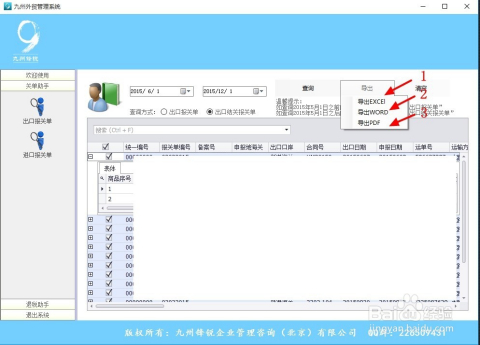 最新报关单格式全面解析